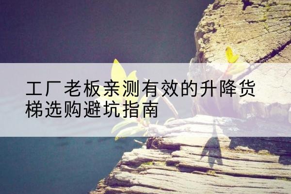 新沂升降货梯怎么选-工厂老板亲测有效的升降货梯选购避坑指南