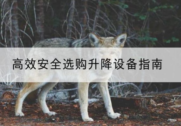 新沂升降货梯厂家推荐-*安全选购升降设备指南