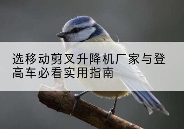新沂电动升降机厂家-选移动剪叉升降机厂家与登高车必看实用指南