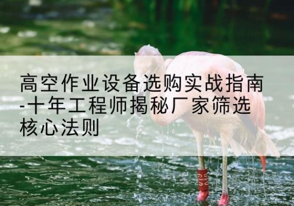 新沂剪叉式升降机厂家-高空作业设备选购实战指南-十年工程师揭秘厂家筛选核心法则