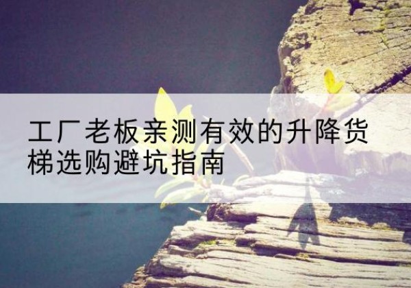新沂升降货梯怎么选-工厂老板亲测有效的升降货梯选购避坑指南